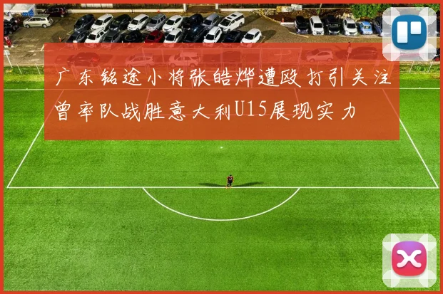 广东铭途小将张皓烨遭殴打引关注曾率队战胜意大利U15展现实力
